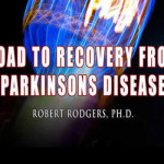 Road to Recovery ad for blog talk 300x250