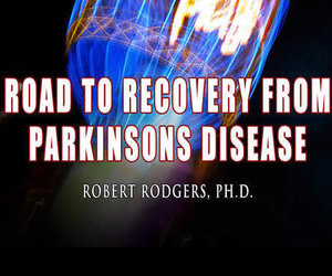 Road to Recovery ad for blog talk 300x250