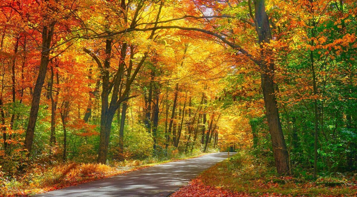 Road to Recovery from Parkinsons Disease